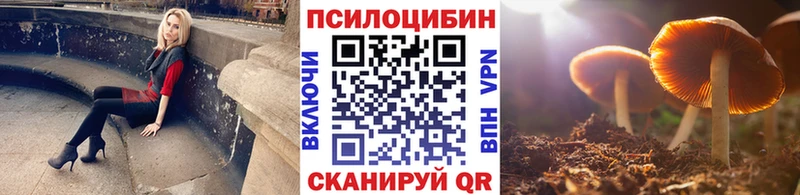 Псилоцибиновые грибы Psilocybine cubensis  Урюпинск 